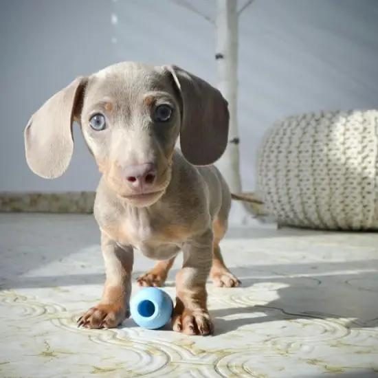 WhatsApp Image 2025-05-10 at 08.47.24 (5)