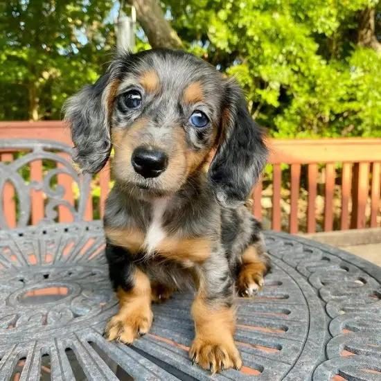 WhatsApp Image 2025-05-10 at 08.54.23