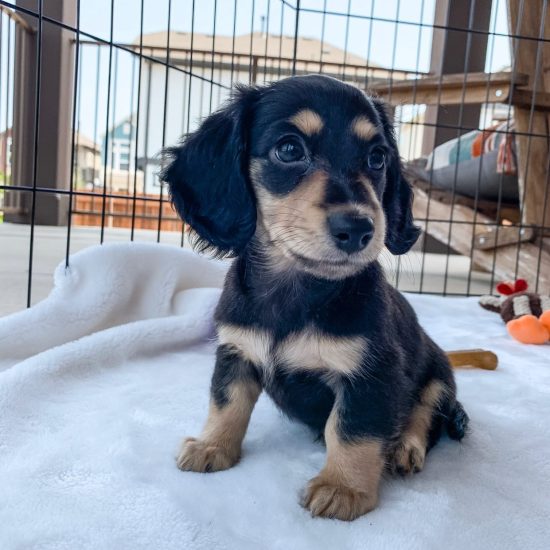 WhatsApp Image 2025-09-03 at 3.19.10 AM